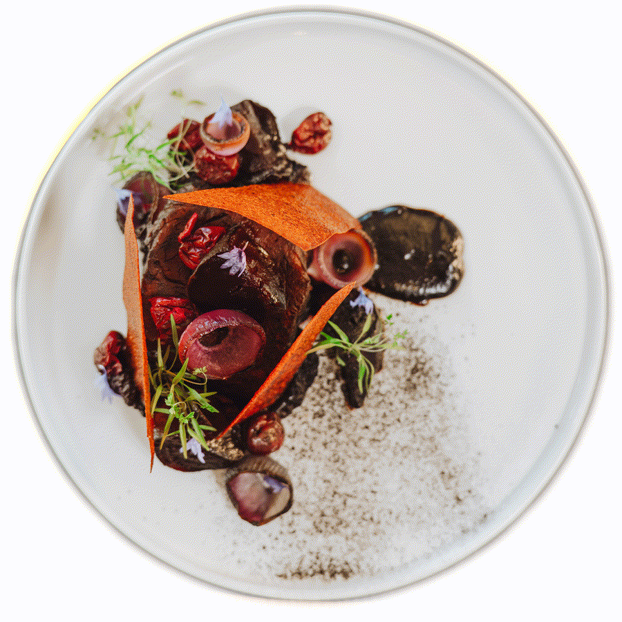 Gericht der modernen deutschen Küche im Restaurant Wetzlarer Hof