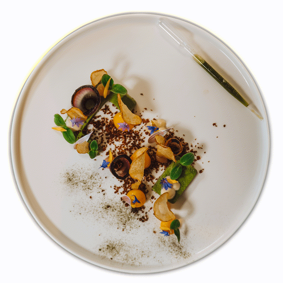 Liebevoll angerichtetes Gericht im Restaurant Wetzlarer Hof